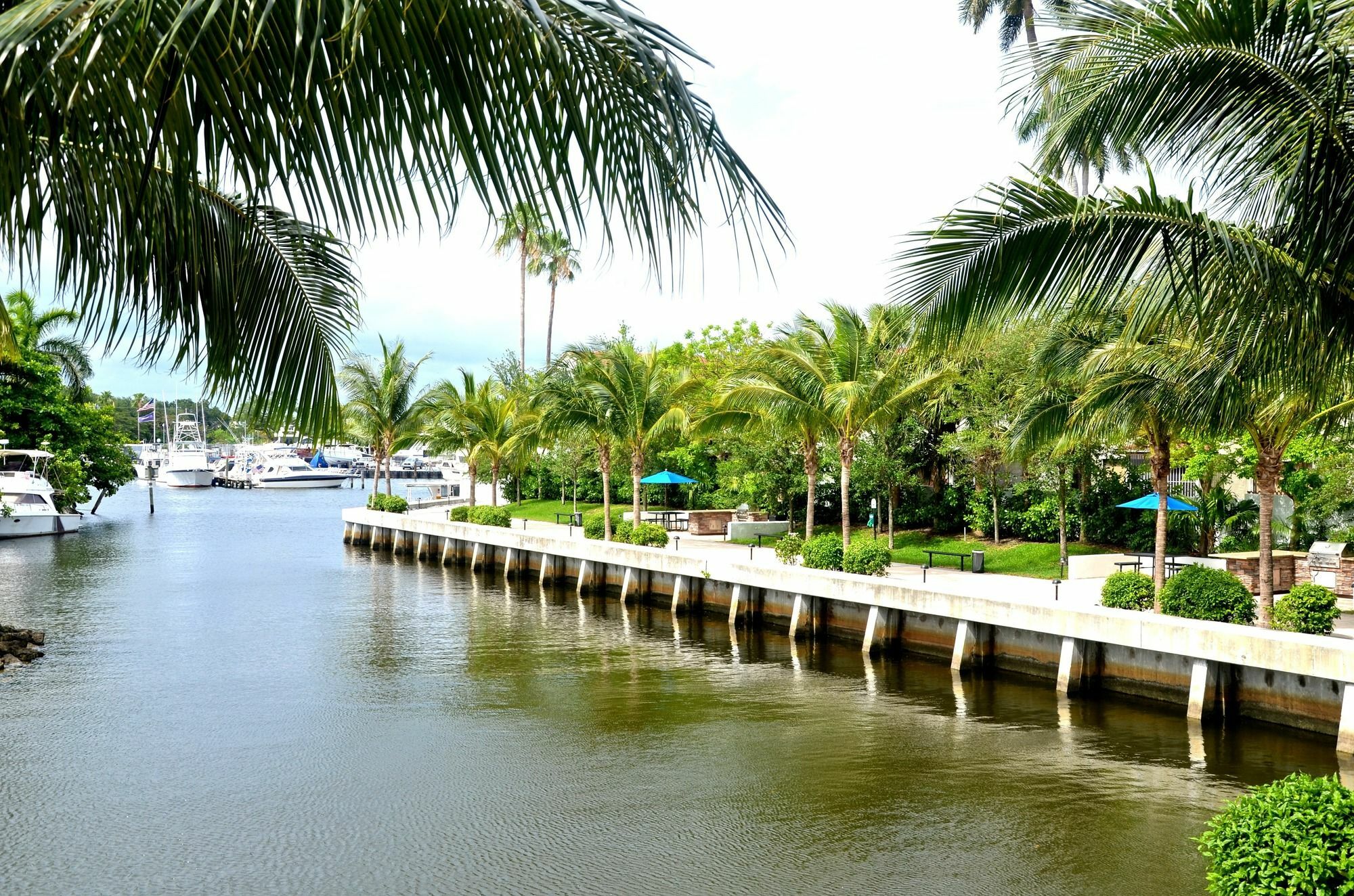 Riviera Luxury Living At River Oaks Marina And Tower 迈阿密 外观 照片